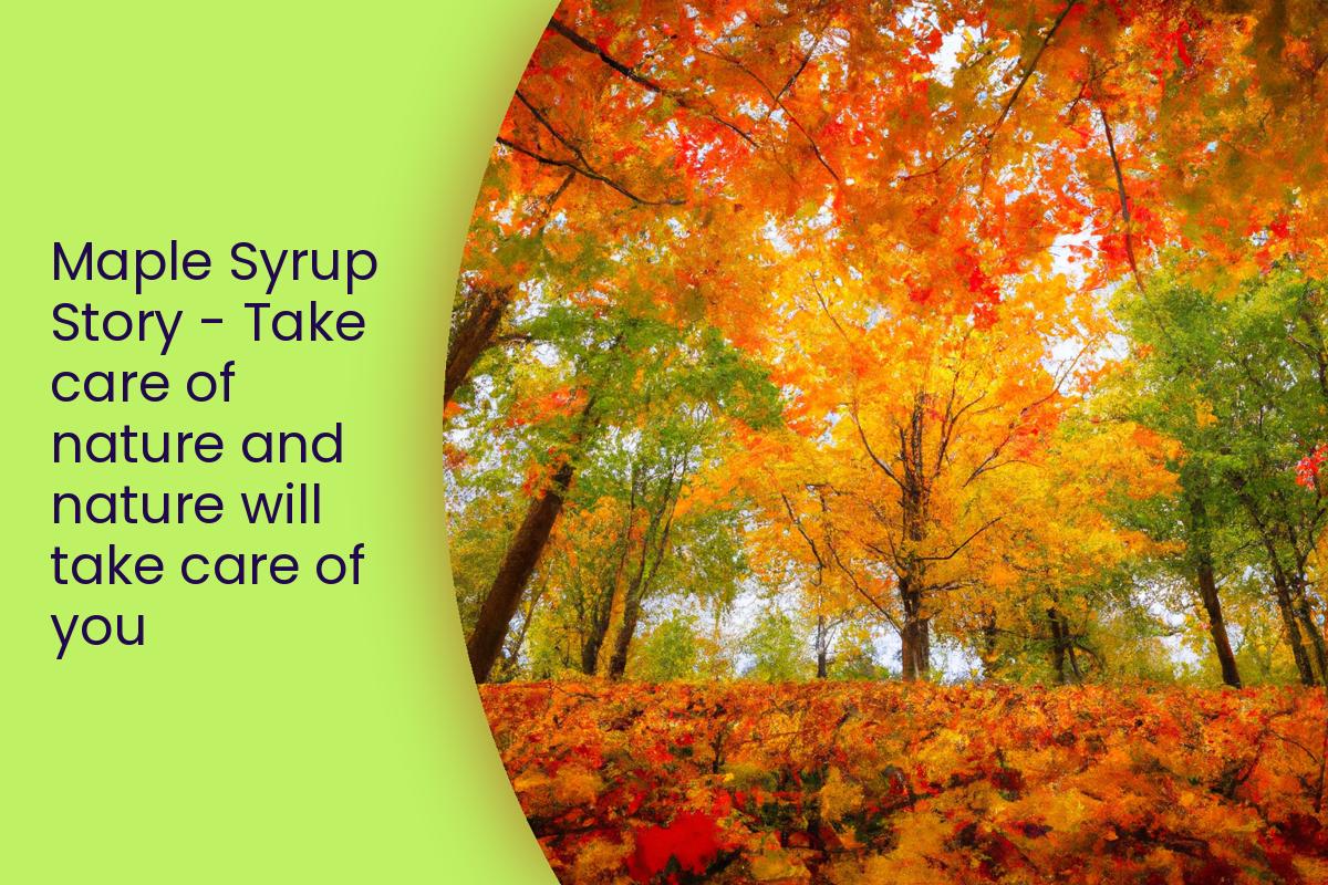 Maple Syrup Story - Take care of nature and nature will take care of you